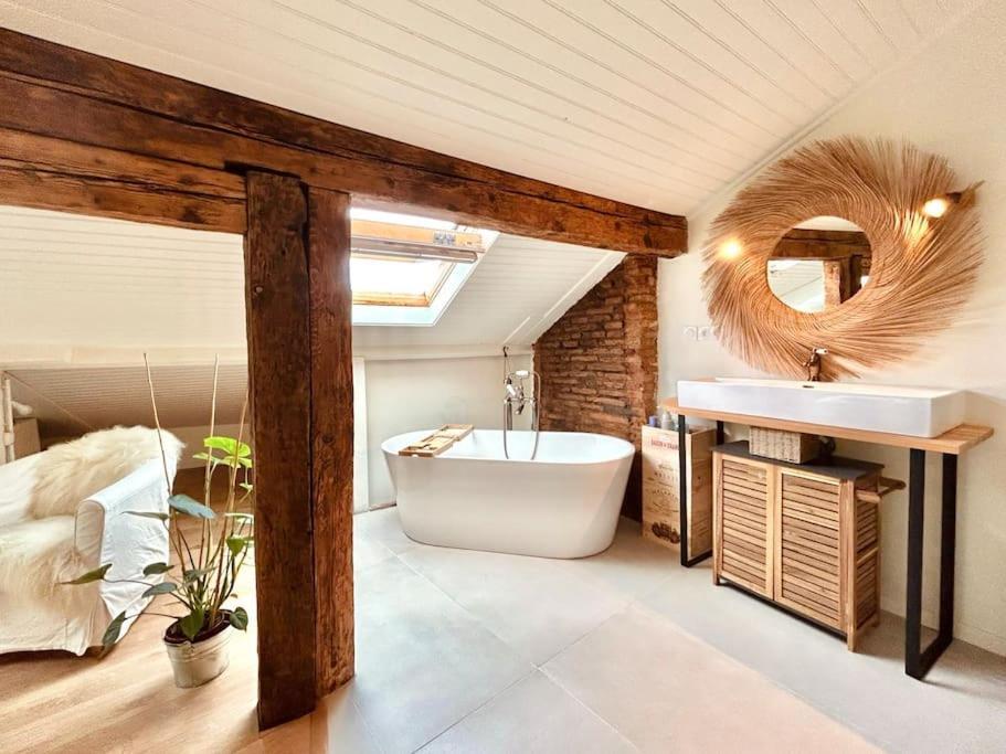 Les Puits Clos : Magnifique T2 Sous Les Toits Toulouse